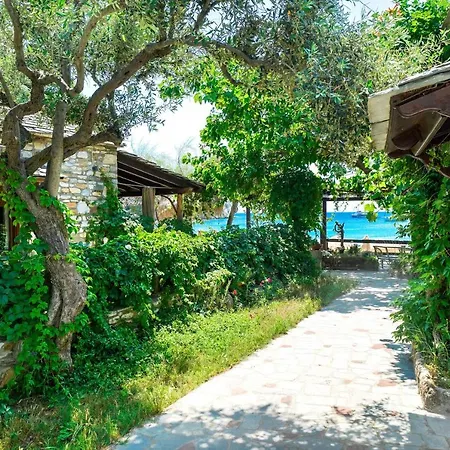 Aliki Houses Beach Residence Aliki (Thasos)
